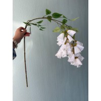 Зелень длинна искуственная Кампанула ( колокольчики ) 31034  белая с зеленым 110 см  1 шт