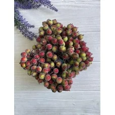 Калина сахарная , зеленая с красным           400 шт
