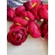 Ранункулюс бутон , малиново бордовий   100 шт