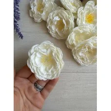 Роза Чайная  ,  кремовая       упаковка  20 шт
